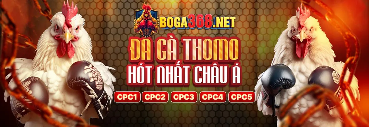 Lời khuyên để cá cược có trách nhiệm tại 7789bet